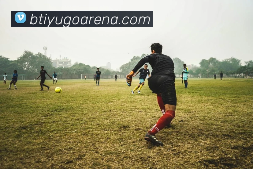 B体育平台生态图